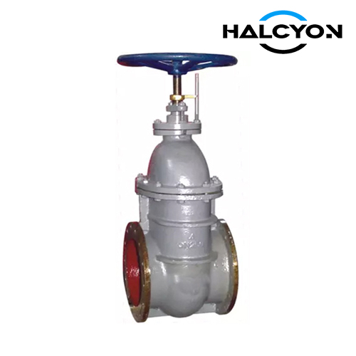 CB/T466 Marine Cast Steel Gate Valve